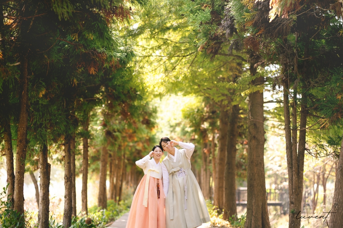 이미지명